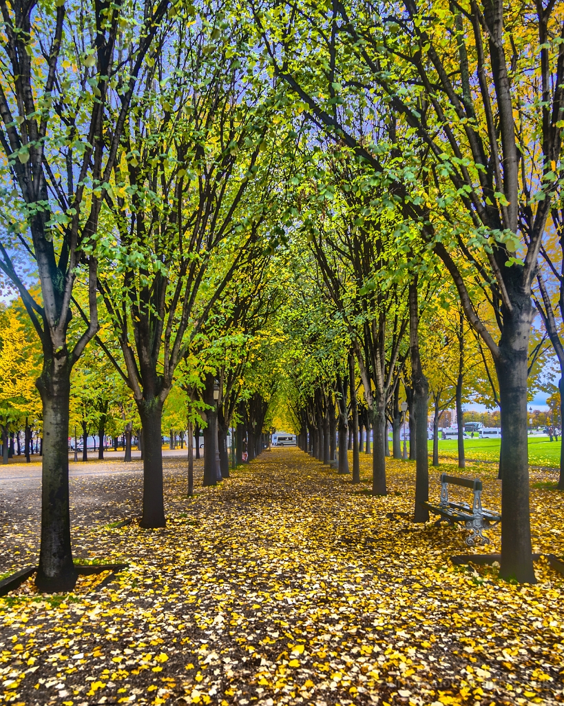 Avenue_Paris_HDR